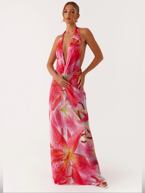 Peppermayo Dresses & Skirts - Peppermayo Elysia Mesh Maxi Dress